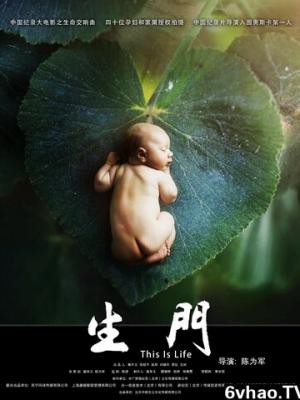 热播剧集
